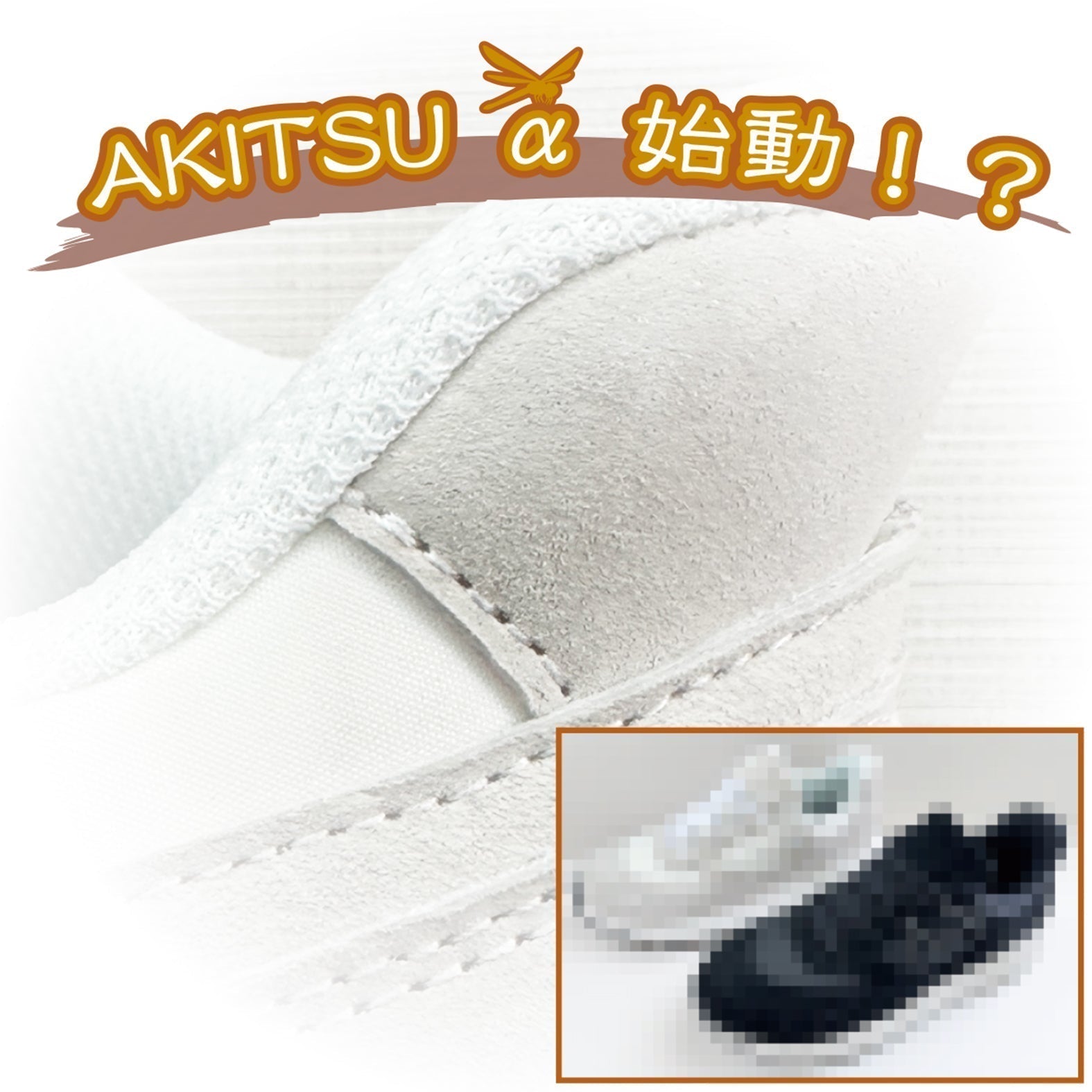 AKITSU "alpha" 始動!?