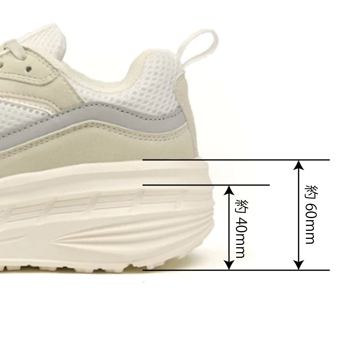 FS303 WHITE | feather step | フェザーステップ